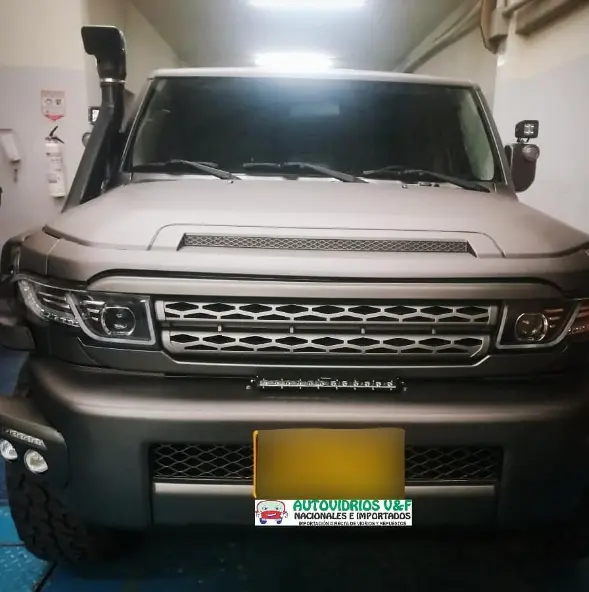 Autovidrios V&F
